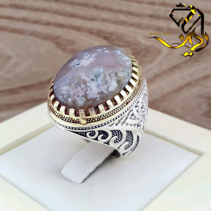 انگشتر نقره مردانه 925 عیار طرح جغه با نگین شجر بهاره اصل و معدنی