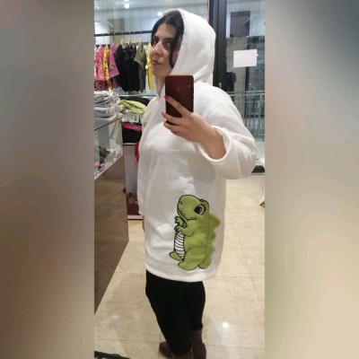 هودی دایناسوری