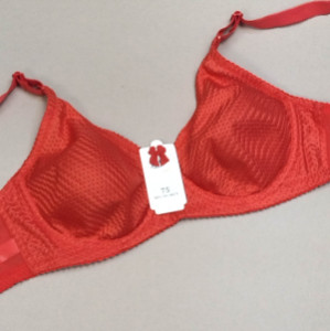 سوتین پرسی سوزنی لعیا فنردار و بدون فنر