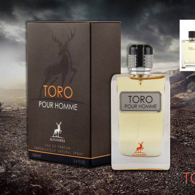 عطر ادکلن مردانه تق هرمس الحمبرا (Alhambra Hermes Terre d Hermes) - ارسال رایگان - ضمانت اورجینال بو-143102