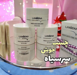 چسب کاسه ای بینی لانبنا-140334