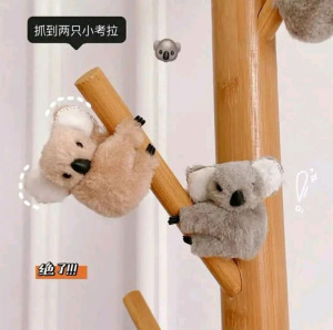 کلیپس کوالا-137541