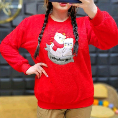 بلوزتدی بلوز پولیشی