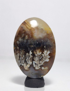 عقیق شجر فردوس