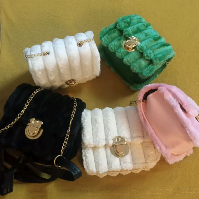 مینی بگ زیبا-129127